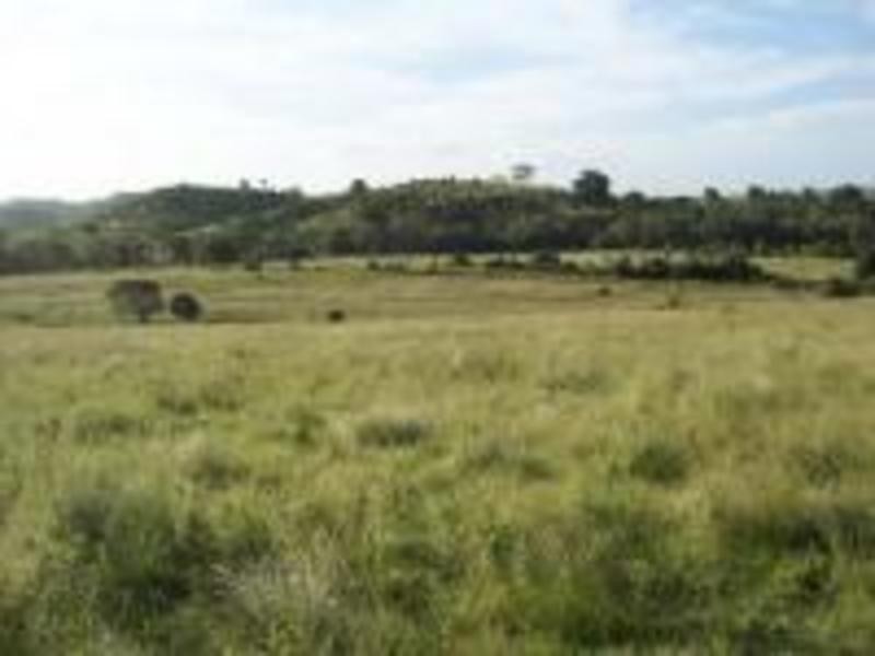 00 Cedarvale Road, Mount Larcom QLD 4695