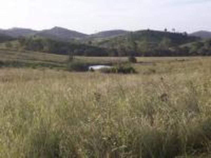 00 Cedarvale Road, Mount Larcom QLD 4695