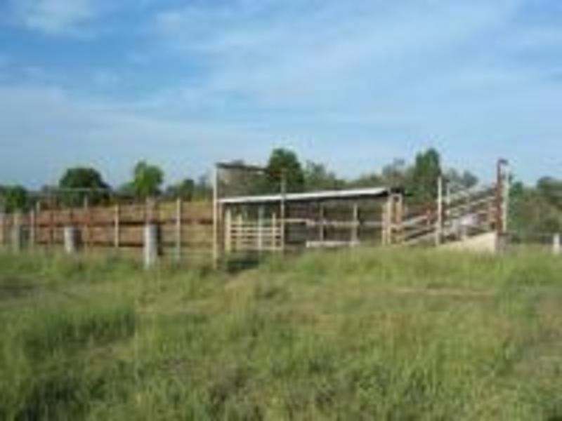 00 Cedarvale Road, Mount Larcom QLD 4695