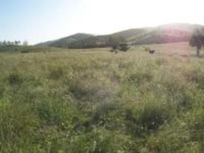 00 Cedarvale Road, Mount Larcom QLD 4695