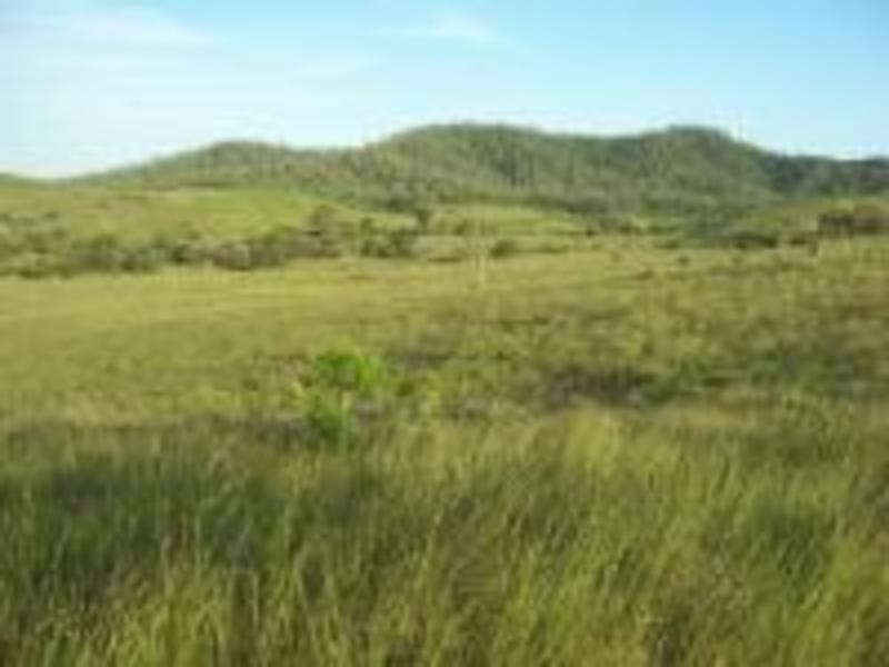 00 Cedarvale Road, Mount Larcom QLD 4695