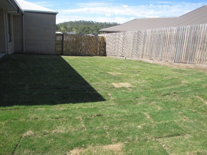 8 Hatfree Court, Calliope QLD 4680