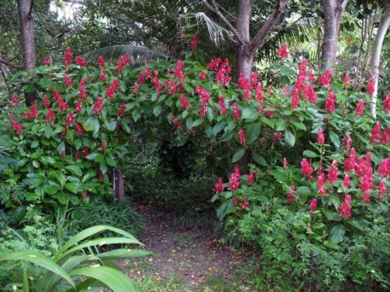 9 Lindley Road, Nagoorin QLD 4680