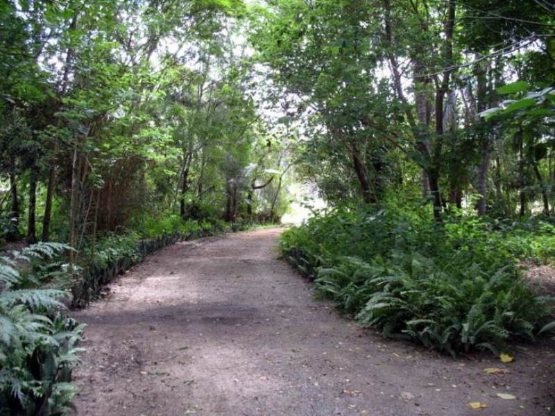 9 Lindley Road, Nagoorin QLD 4680