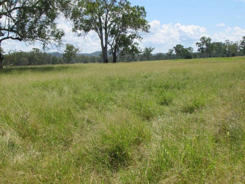 3765 Gladstone Monto Rd, Boyne Valley QLD 4680