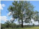 3765 Gladstone Monto Rd, Boyne Valley QLD 4680