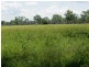 3765 Gladstone Monto Rd, Boyne Valley QLD 4680