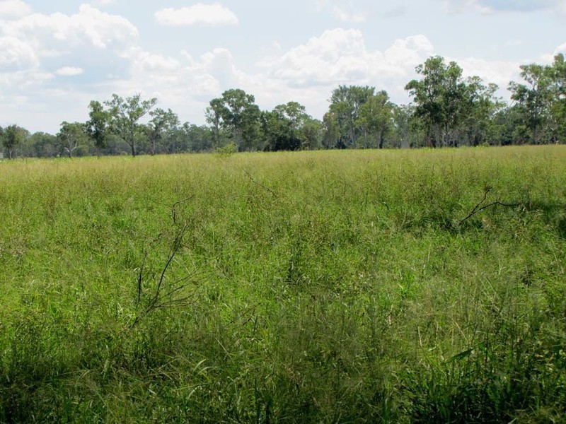 3765 Gladstone Monto Rd, Boyne Valley QLD 4680