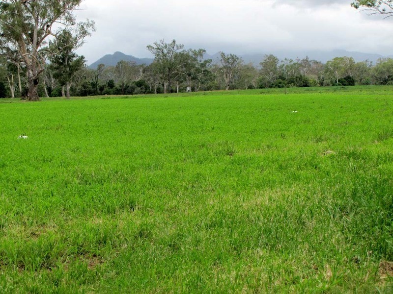 3765 Gladstone Monto Rd, Boyne Valley QLD 4680