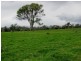 3765 Gladstone Monto Rd, Boyne Valley QLD 4680