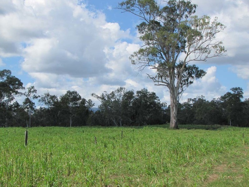 00 Monto Rd, Boyne Valley QLD 4680