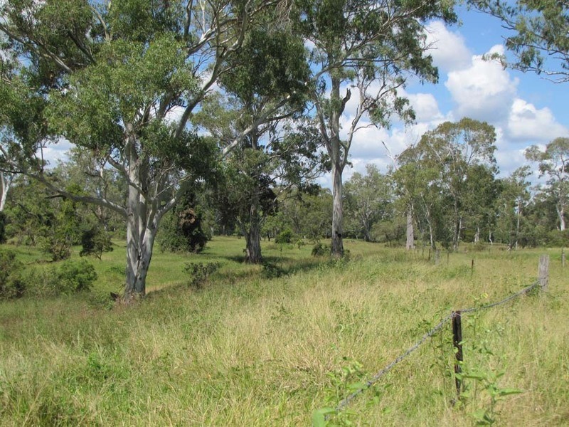 00 Monto Rd, Boyne Valley QLD 4680