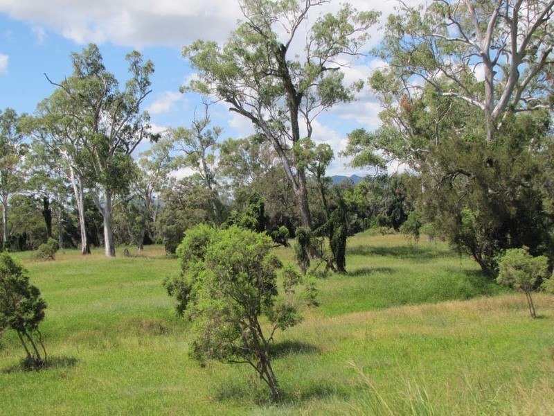 00 Monto Rd, Boyne Valley QLD 4680