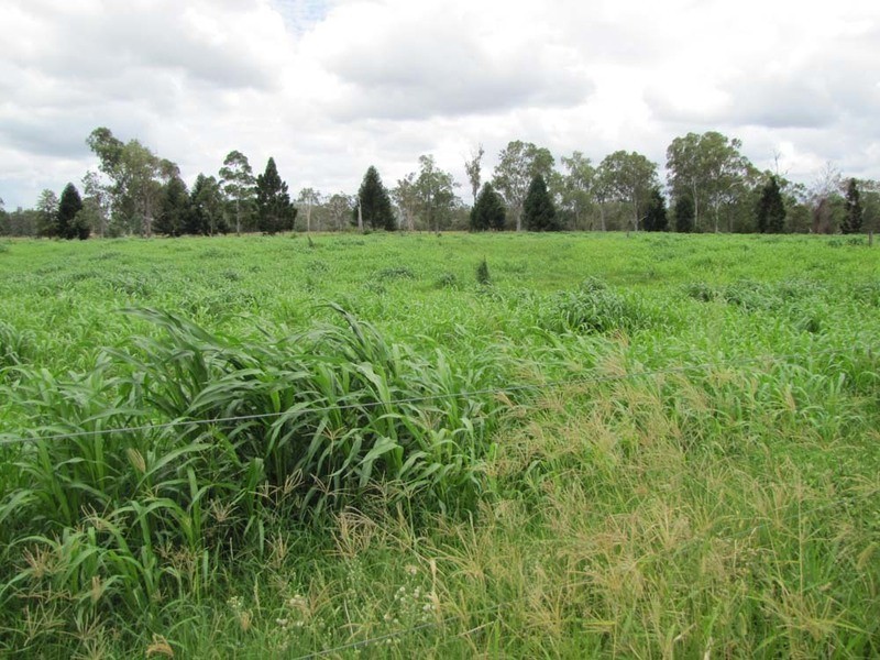 00 Monto Rd, Boyne Valley QLD 4680