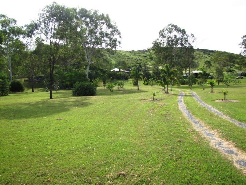 359 Darts Creek Road, Mount Larcom QLD 4695