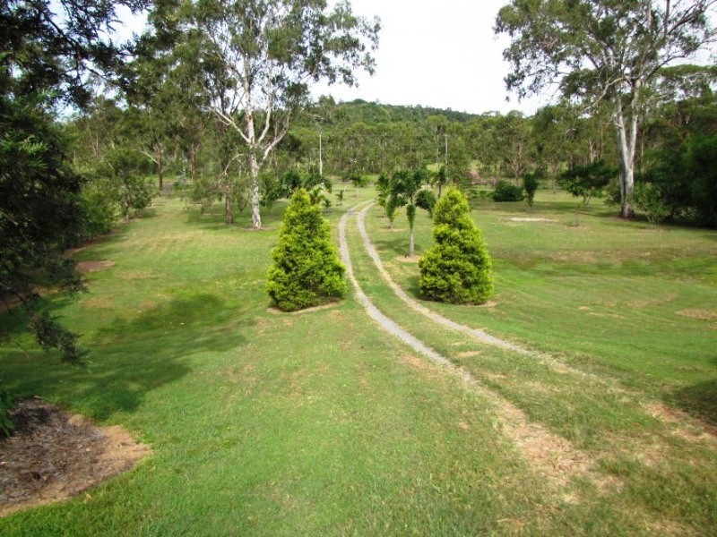 359 Darts Creek Road, Mount Larcom QLD 4695