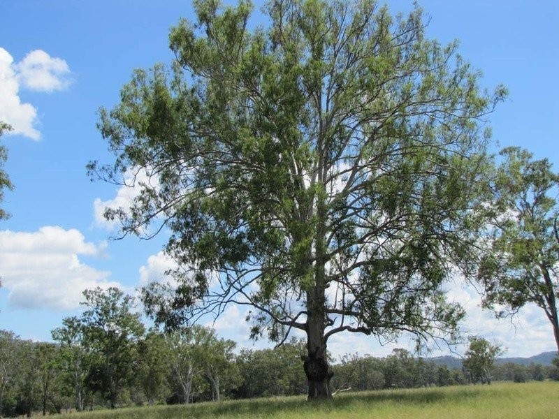 3765 Gladstone Monto Road, Boyne Valley QLD 4680