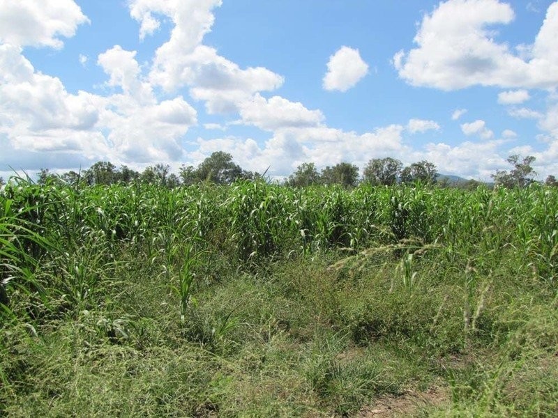 00 Monto Road, Boyne Valley QLD 4680