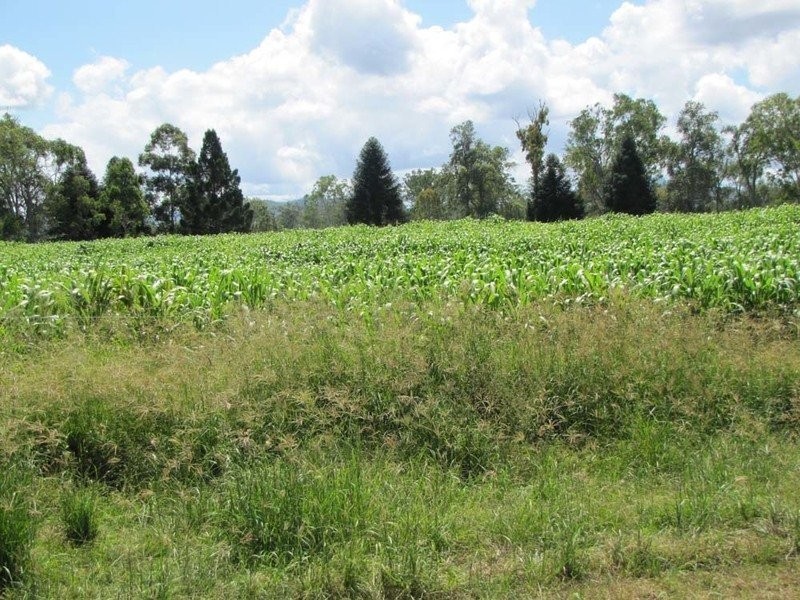 00 Monto Road, Boyne Valley QLD 4680