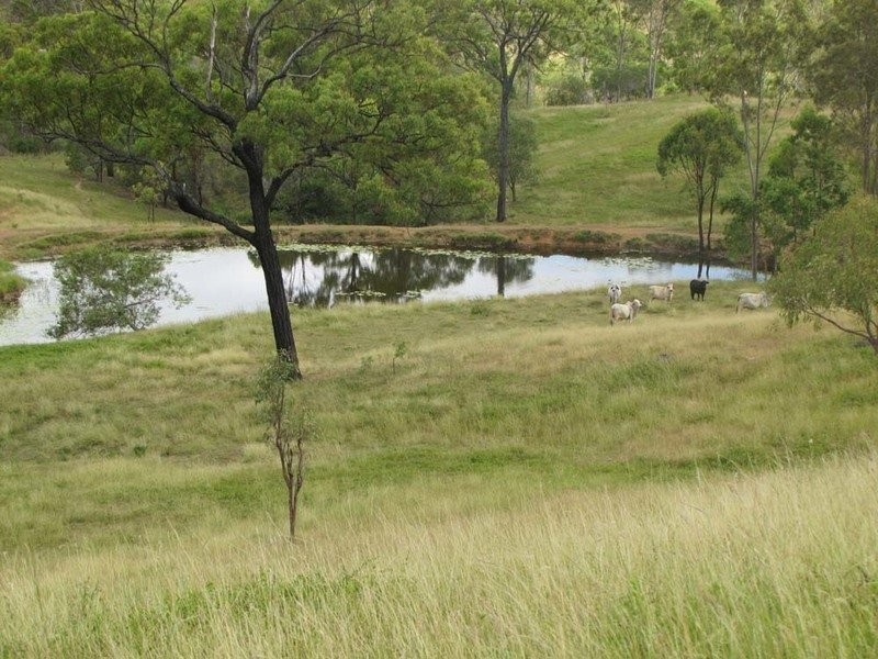 00 Racecourse Road, Calliope QLD 4680