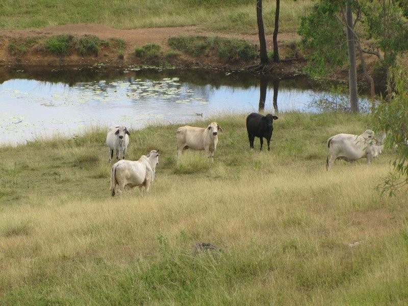 00 Racecourse Road, Calliope QLD 4680