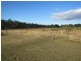 533 Gentle Annie Road, Ambrose QLD 4695