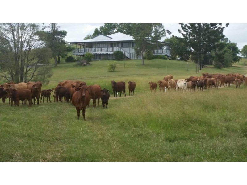 1494 East End Road, Calliope QLD 4680