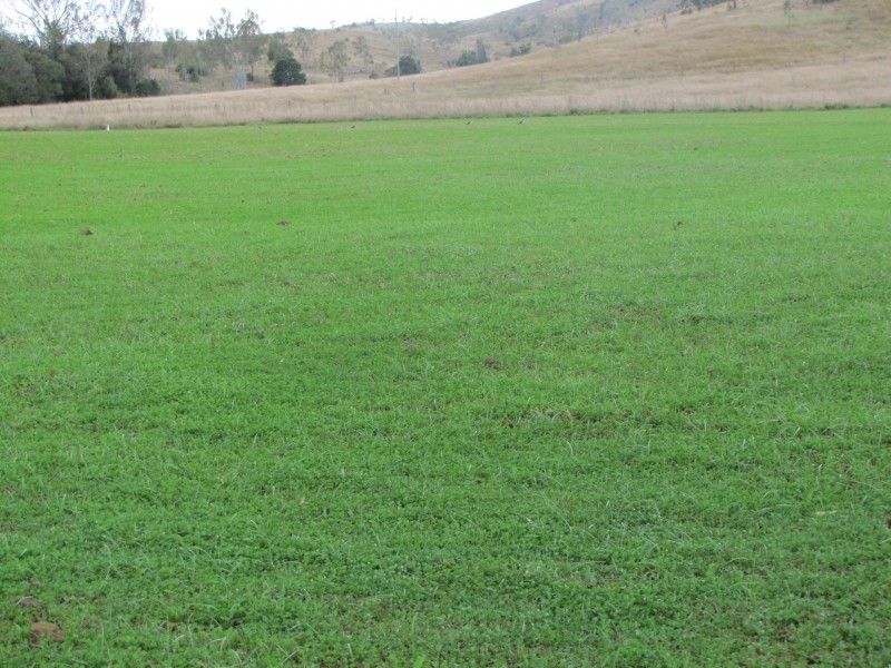 1494 East End Road, Calliope QLD 4680