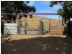 1494 East End Road, Calliope QLD 4680