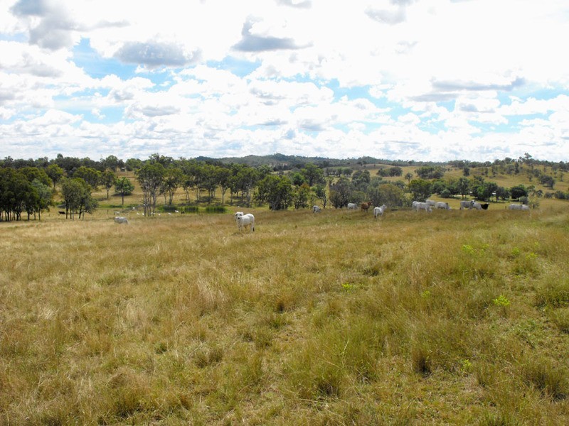 00 Monto Gladstone Rd, Monto QLD 4630