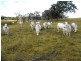 00 Monto Gladstone Rd, Monto QLD 4630