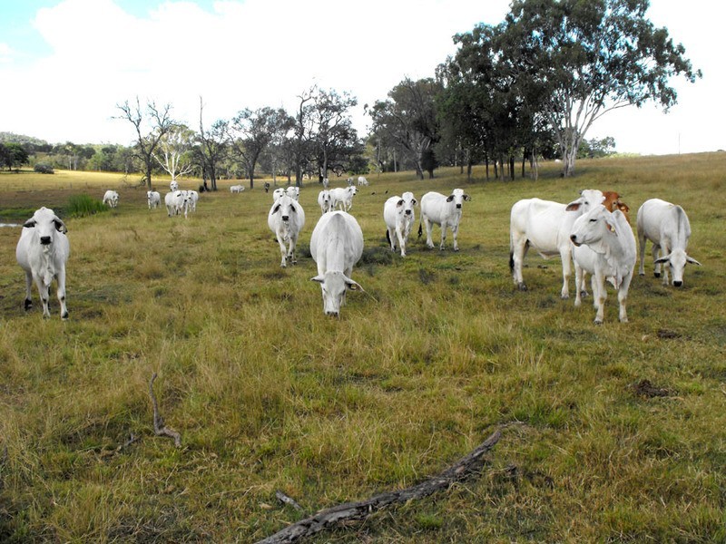 00 Monto Gladstone Rd, Monto QLD 4630