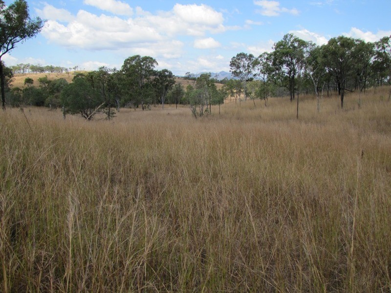 00 Off Murray Road & Taragoola Road, Calliope QLD 4680