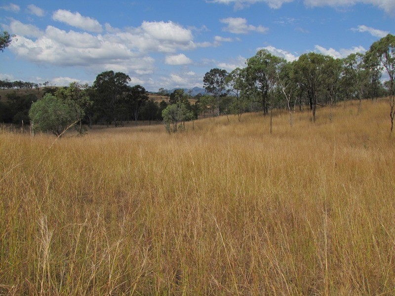 00 Off Murray Road & Taragoola Road, Calliope QLD 4680