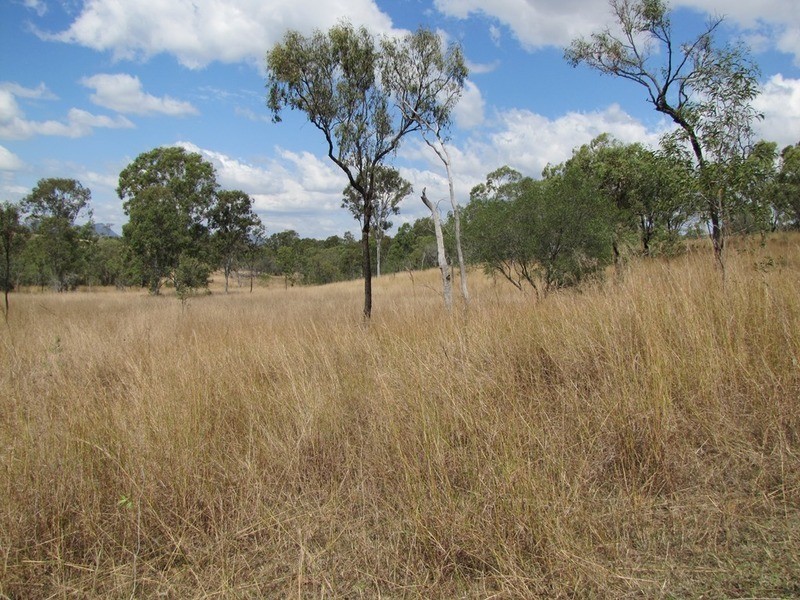 00 Off Murray Road & Taragoola Road, Calliope QLD 4680