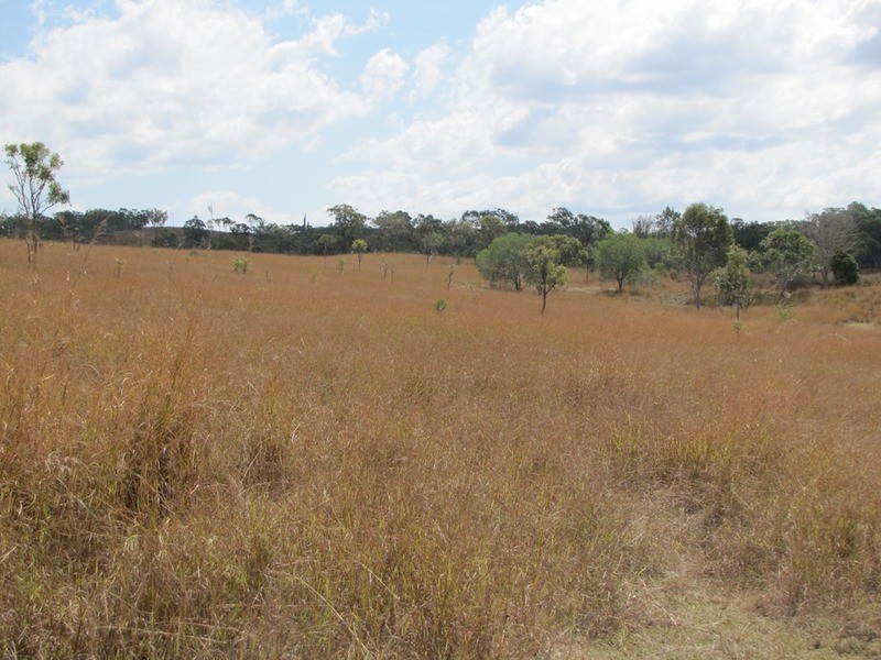 00 Off Murray Road & Taragoola Road, Calliope QLD 4680