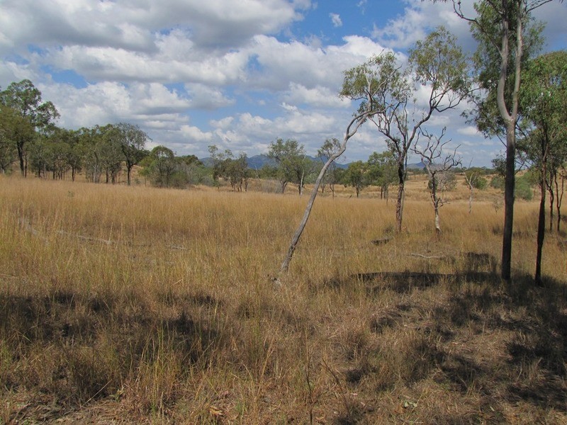 00 Off Murray Road & Taragoola Road, Calliope QLD 4680