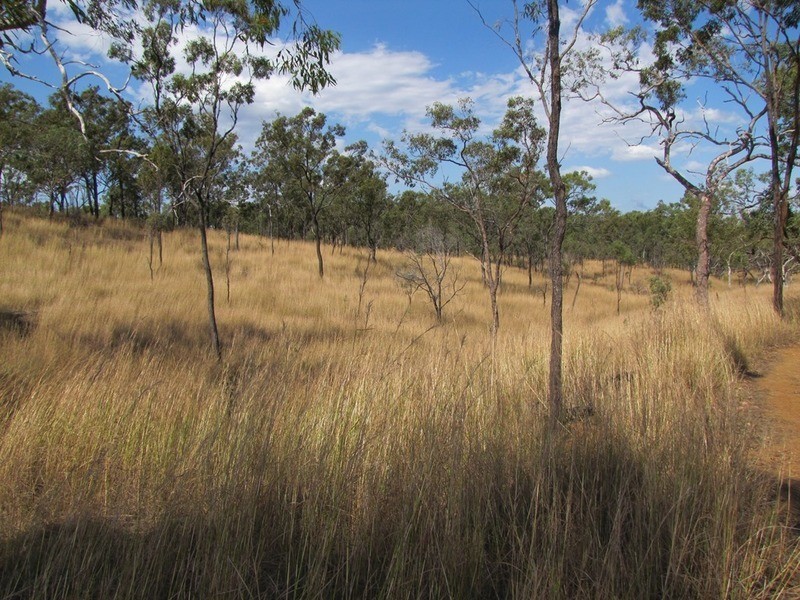 00 Off Murray Road & Taragoola Road, Calliope QLD 4680