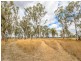 14 Saggitarius Ave, Calliope QLD 4680