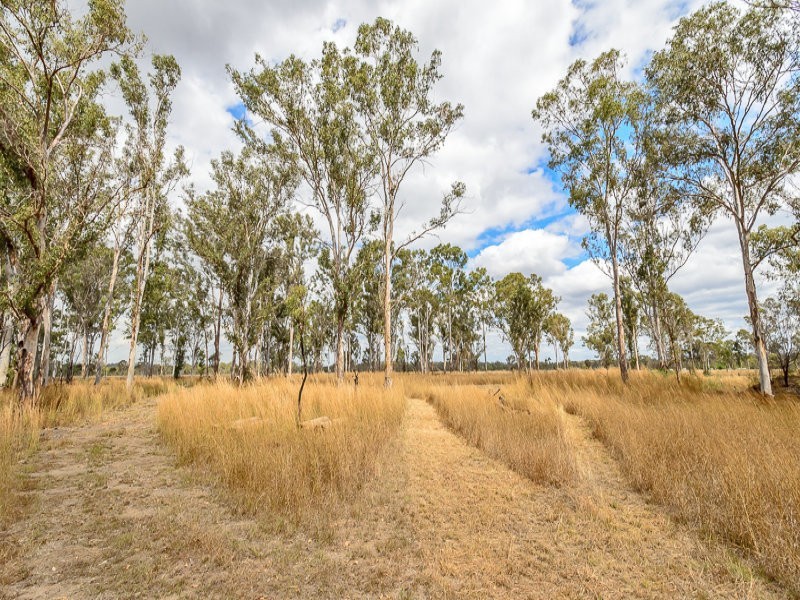 14 Saggitarius Ave, Calliope QLD 4680