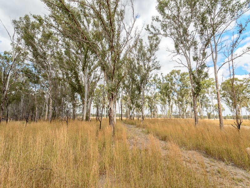 14 Saggitarius Ave, Calliope QLD 4680