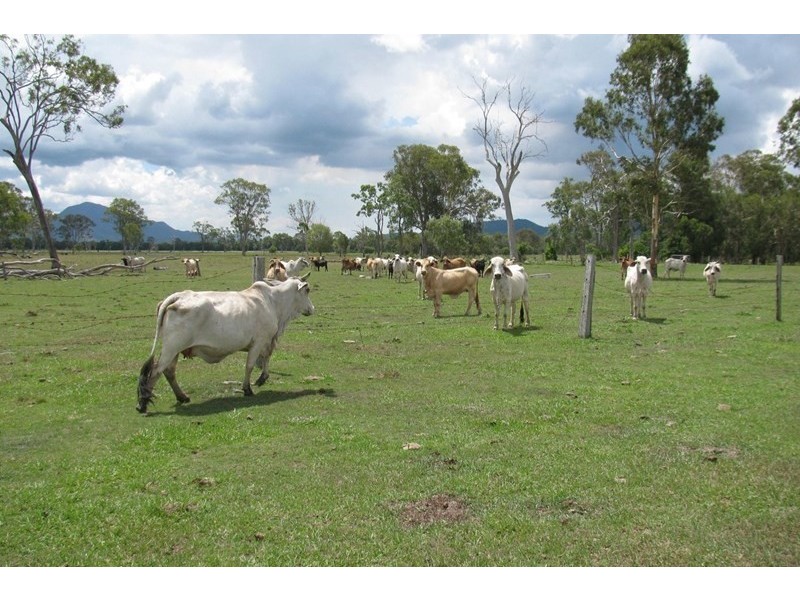 381 Woodside Road, Bororen QLD 4678