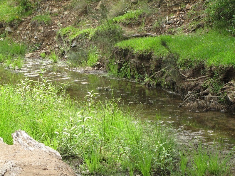 4125 Tableland Rd, Calliope QLD 4680