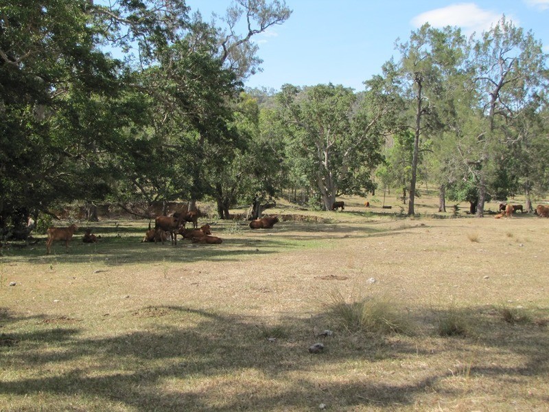 4125 Tableland Rd, Calliope QLD 4680