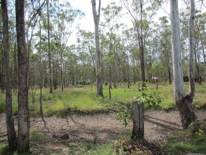 191 Darts Creek Road, Ambrose QLD 4695