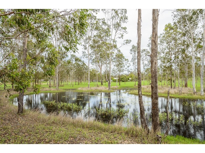 10 Aquarius Avenue, Calliope QLD 4680