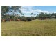 00 Raglan Station Road, Raglan QLD 4697