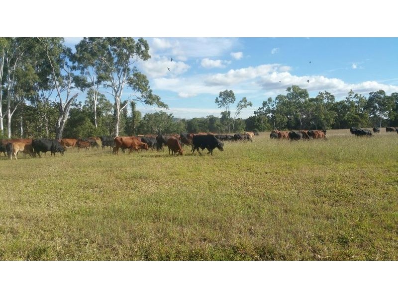 00 Raglan Station Road, Raglan QLD 4697