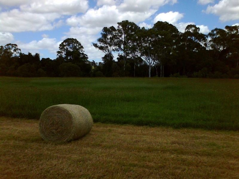 00 Raglan Station Road, Raglan QLD 4697