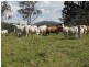 00 Raglan Station Road, Raglan QLD 4697